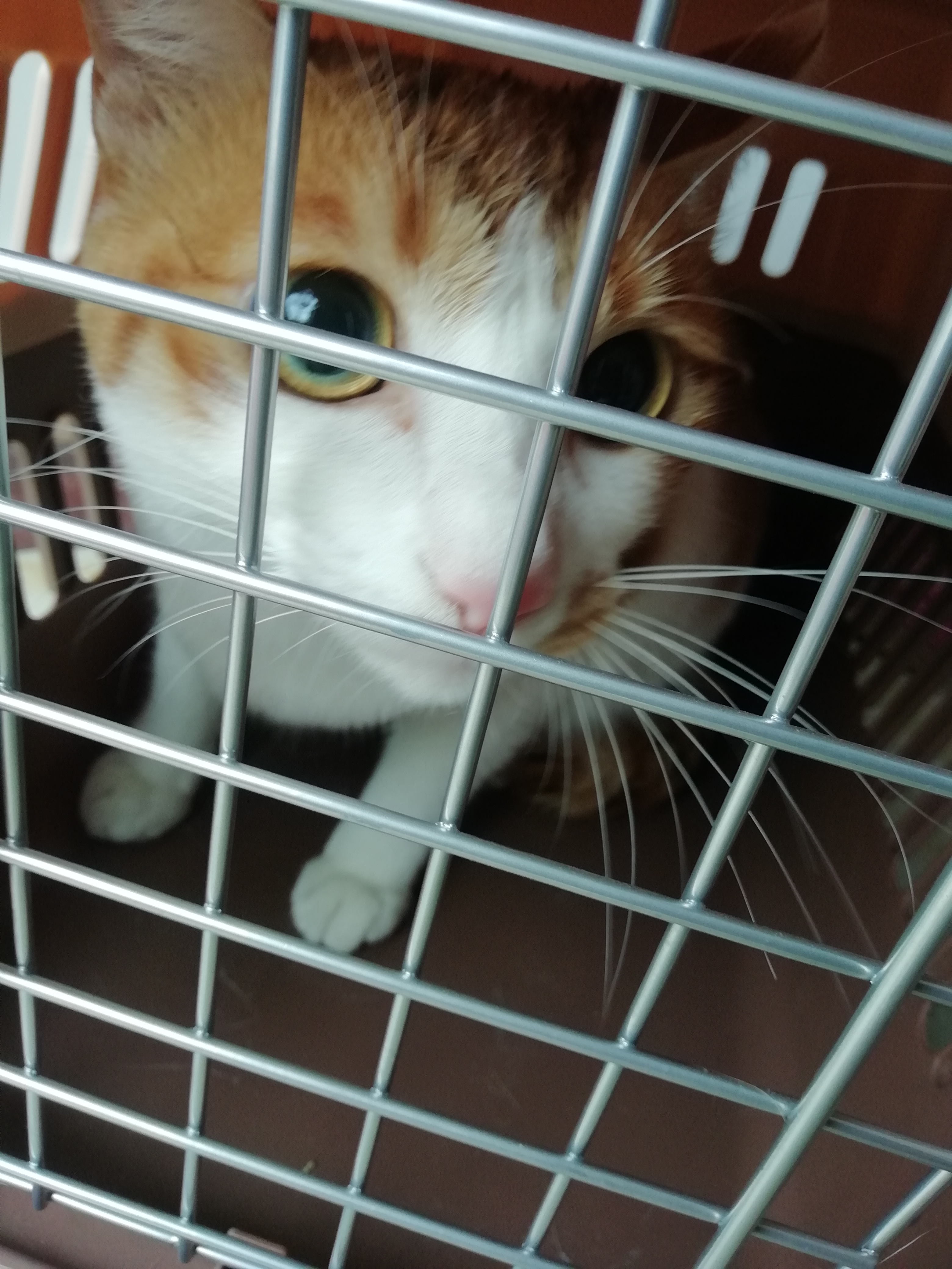 3e3d896caabdf8e2b18ff69d507d3f1 3e3d896caabdf8e2b18ff69d507d3f1