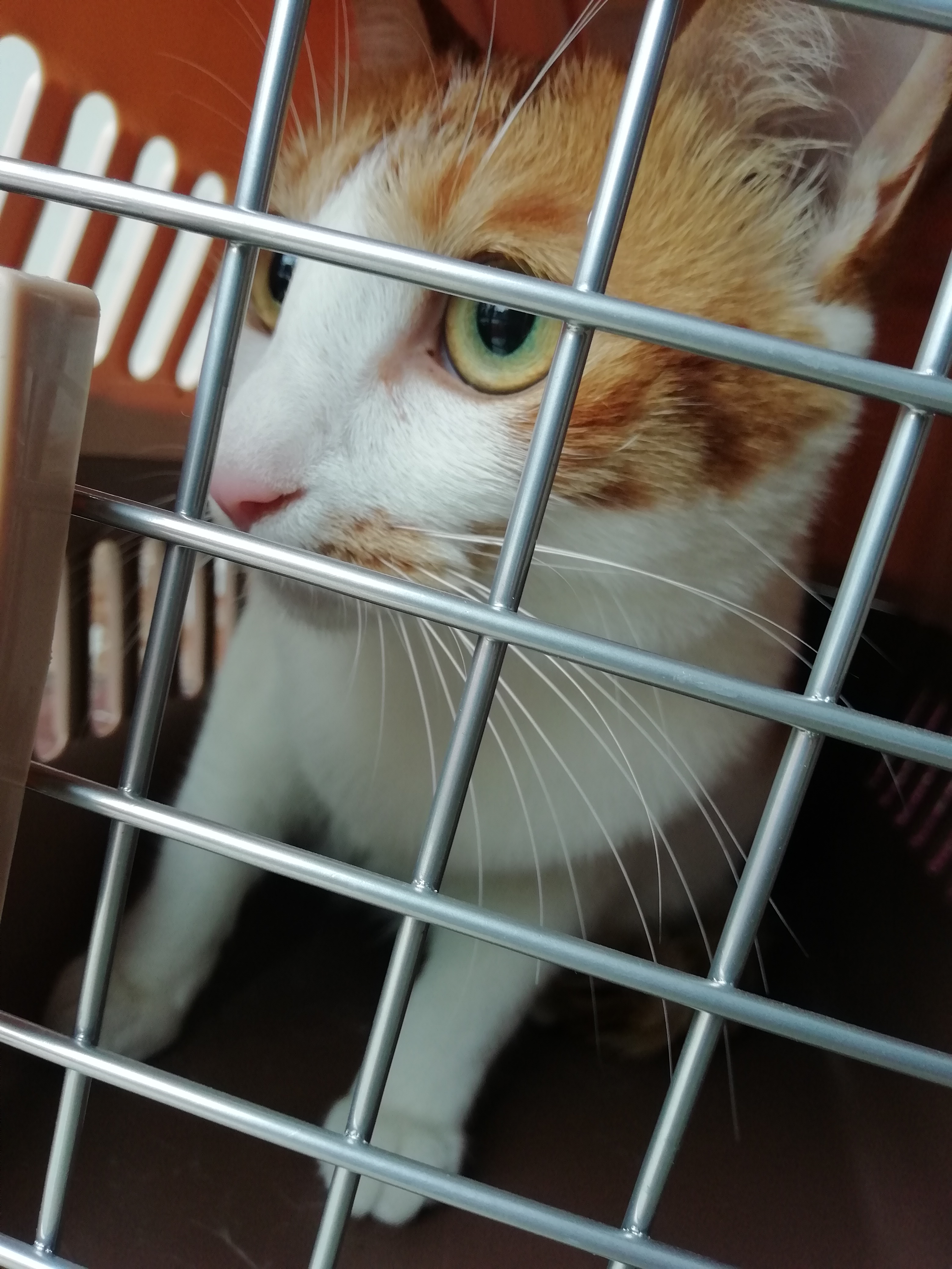 62dd467c8aa5f04cc3ded4ade6f903f