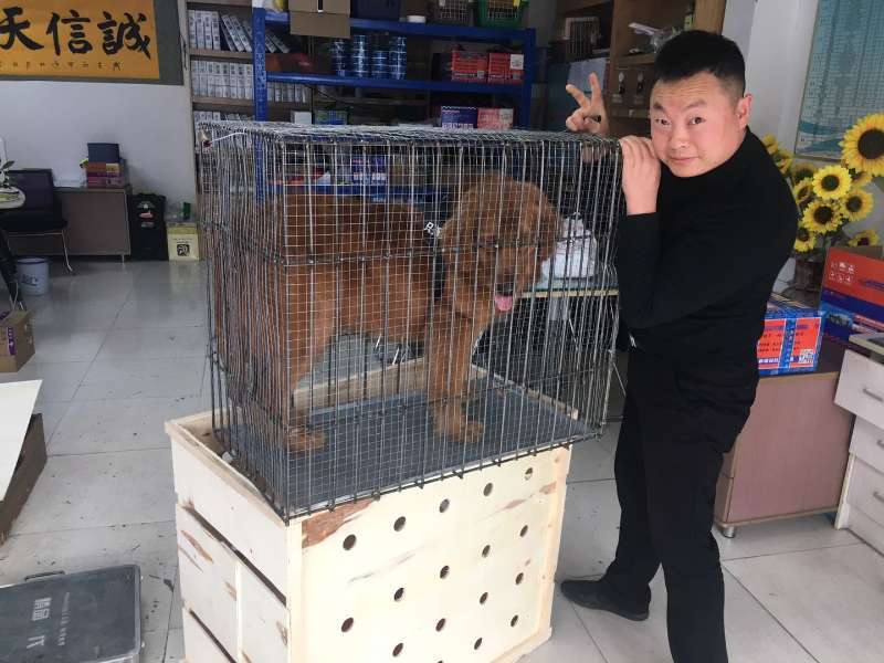 關(guān)于“寵物托運(yùn)”，那些你不知道的事