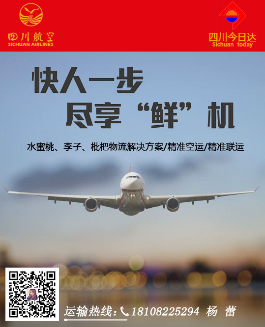 關于航空貨運單，您需要知道的那些事