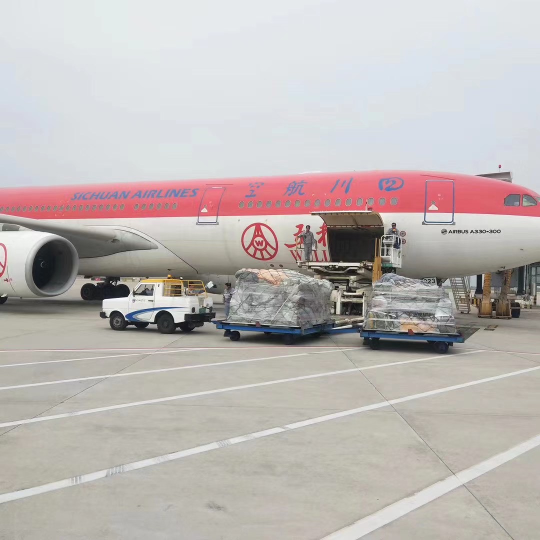 航空快遞與物流行業(yè)面臨數(shù)字化和環(huán)保挑戰(zhàn)，展望未來發(fā)展機(jī)遇